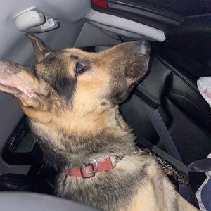 Meet your Posher, Nicholas